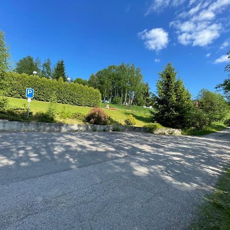 Penzion Horal Hotell Dolní Morava Exteriör bild