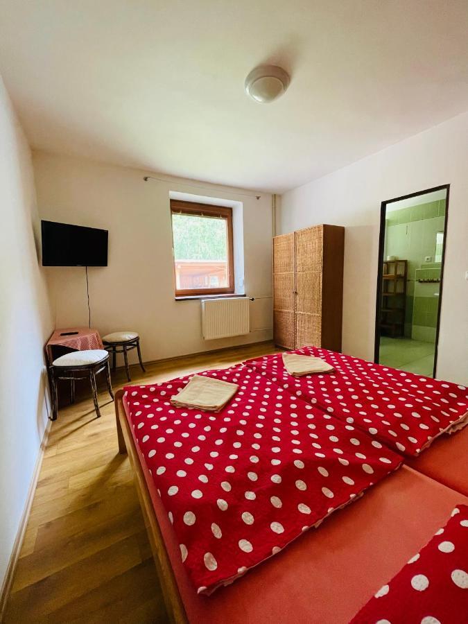 Penzion Horal Hotell Dolní Morava Exteriör bild