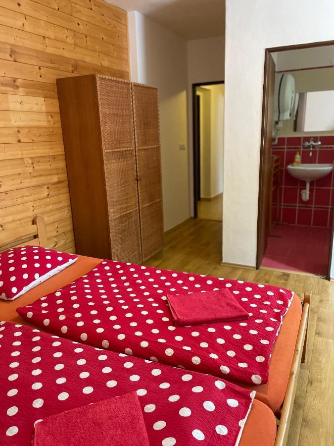 Penzion Horal Hotell Dolní Morava Exteriör bild